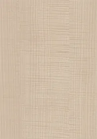 Gambar Panel Keding Eco+ Edge Banding P101P 3,0mm Maple di Juragan Material