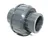 Gambar Aksesoris Pipa CM Taiwan Watermur Socket 2" 1 di Juragan Material