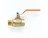 Gambar Ball Valve Onda M x F 1" 1 di Juragan Material