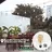 Gambar Lampu & Armatur  Luxmenn Filamen Edison LUX-ST64 / 4 Watt / Fitting E27 - Tipe Bohlam 2 di Juragan Material