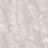 Gambar Granite Tile Indogress Grey Alaska - Glazed Polished - 60x120 1 di Juragan Material