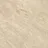 Gambar Granite Tile Infiniti Piecenza - 60x60, Beige 1 di Juragan Material