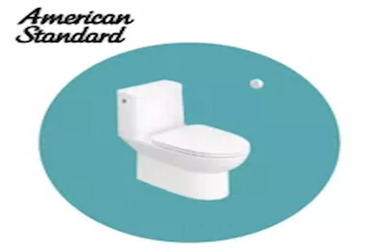 American Standard Flexio One Piece Toilet.webp