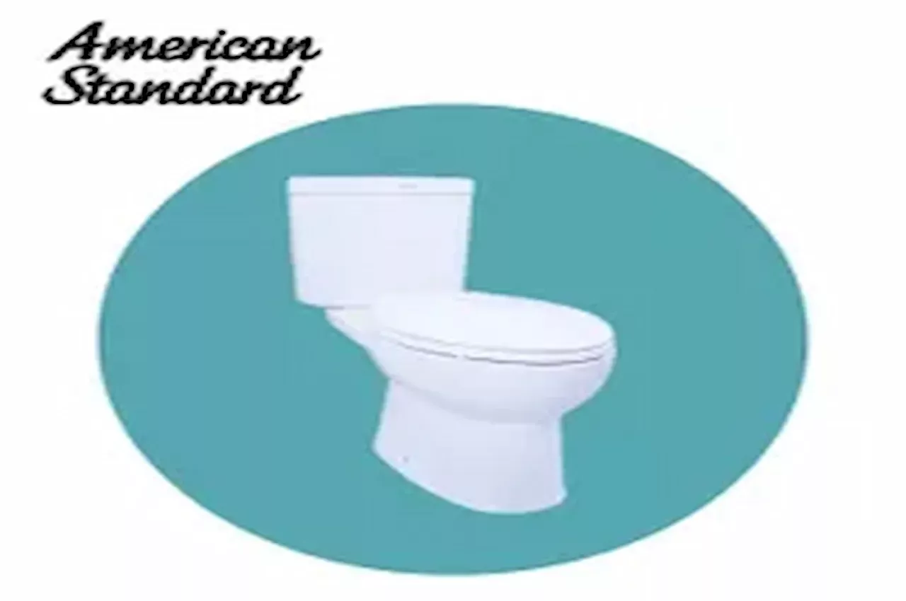 American Standard Newton Close Coupled Toilet.webp